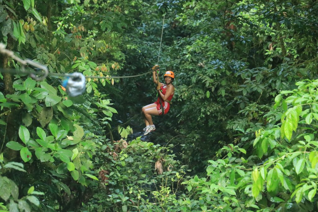 Canopy tour