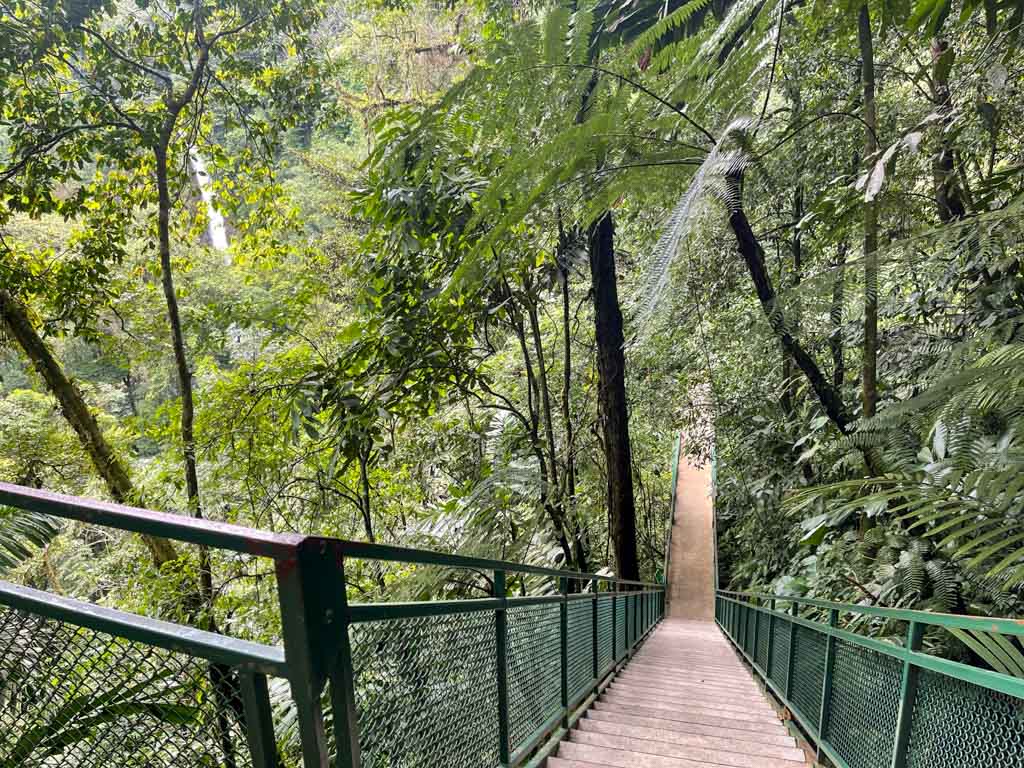 Hanging Bridges