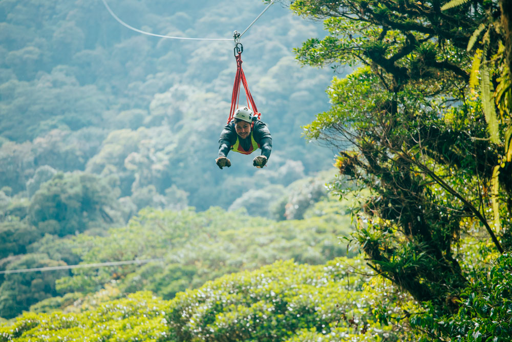 Zip Line