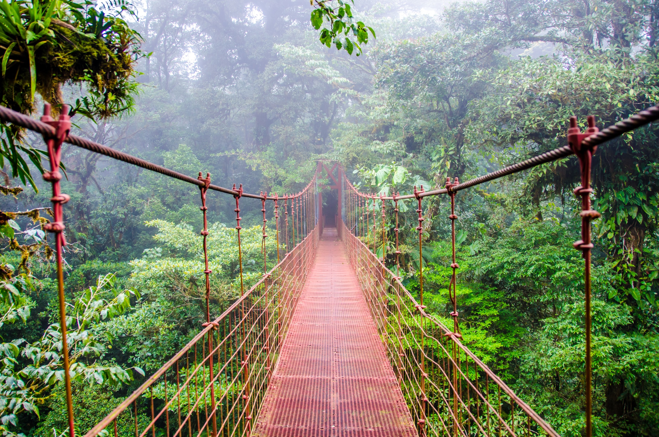 Hanging Bridges monteverde
