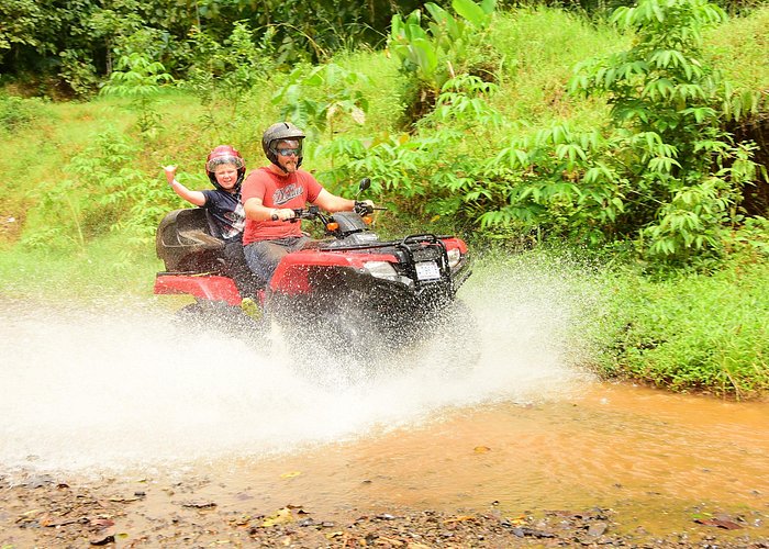 Jungle + Swimming Hole ATV Tour